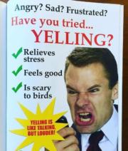 How to relieve stress and feel good by yelling