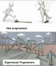 New programmers vs Experienced programmers