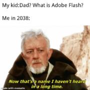 What is Adobe Flash