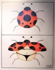 Ladybug in bikini