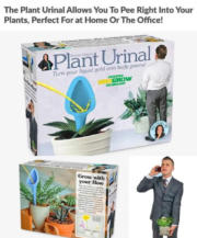 Plant Urinal – turn your liquid gold into leafy greens!