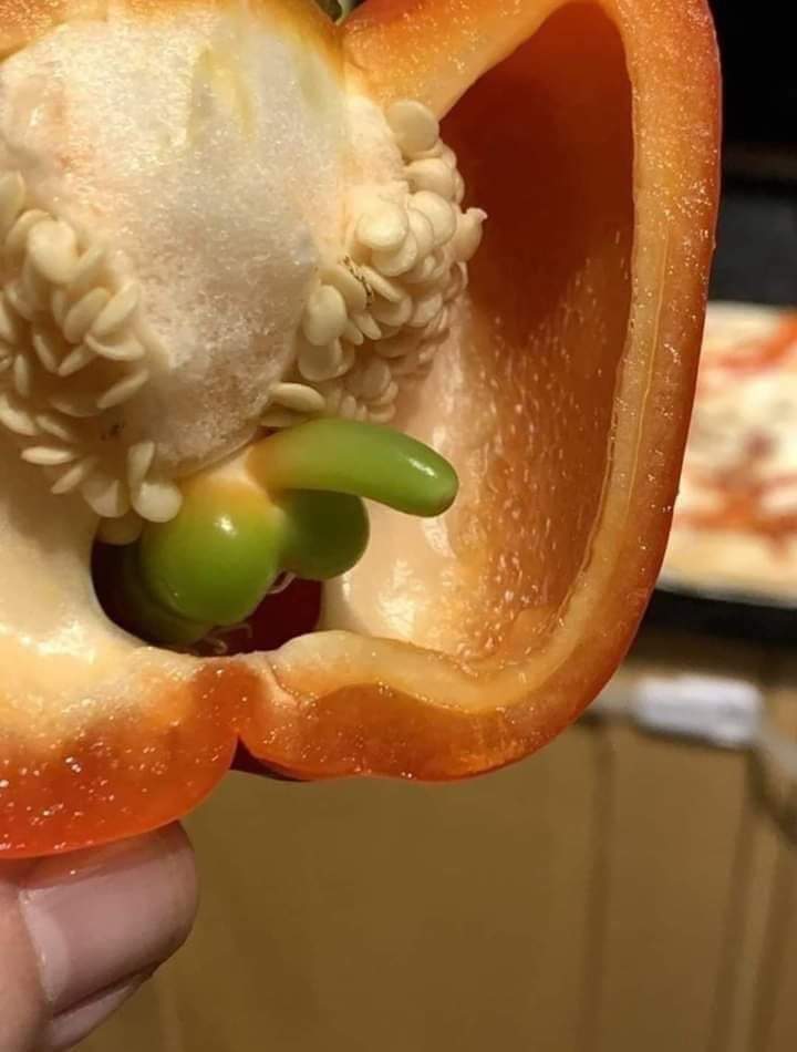 Surprise! Paprika has a penis!