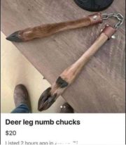 Deer leg numb chucks
