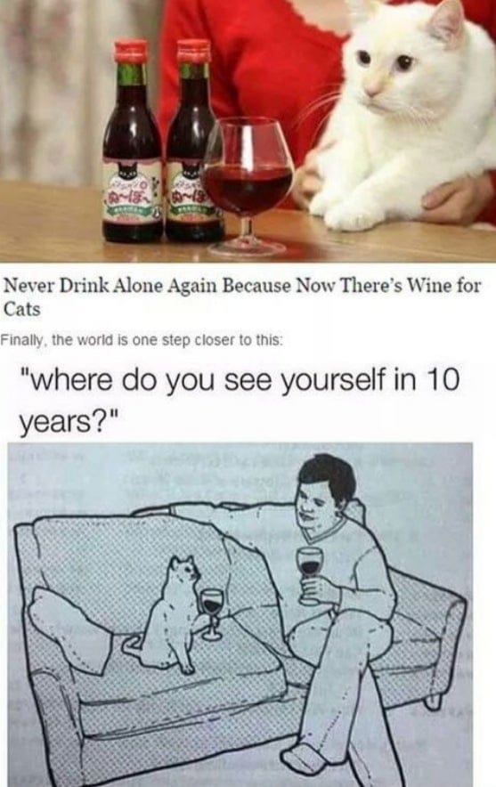 Now there’s wine for cats