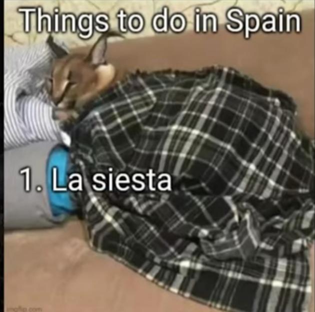 Things to do in Spain