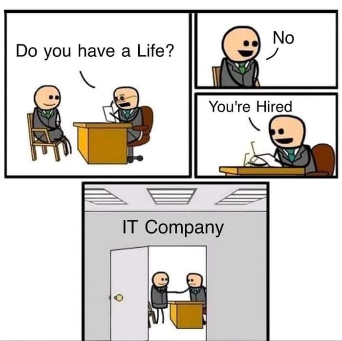 Job interview in IT company