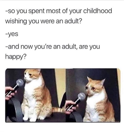 Now you’re an adult, are you happy?