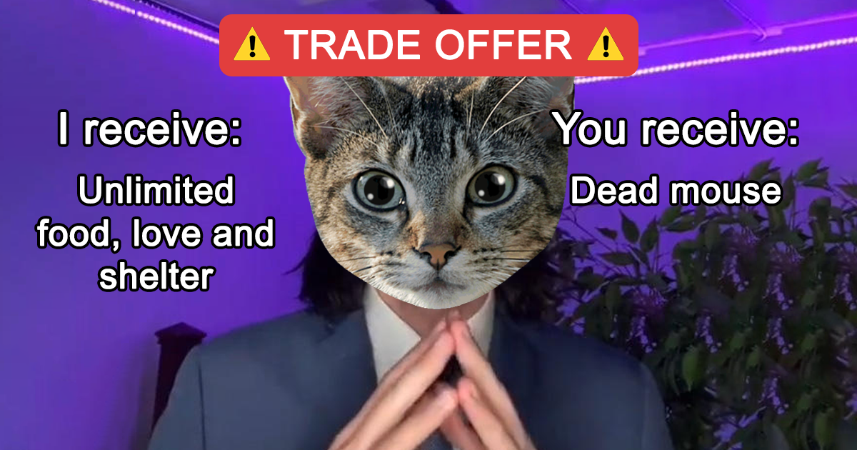 Trade offer from your cat