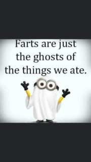 Farts are just the ghosts of the things we ate