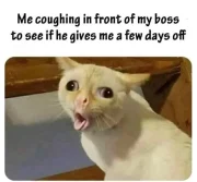 Cat coughing meme