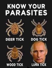 Know your parasites