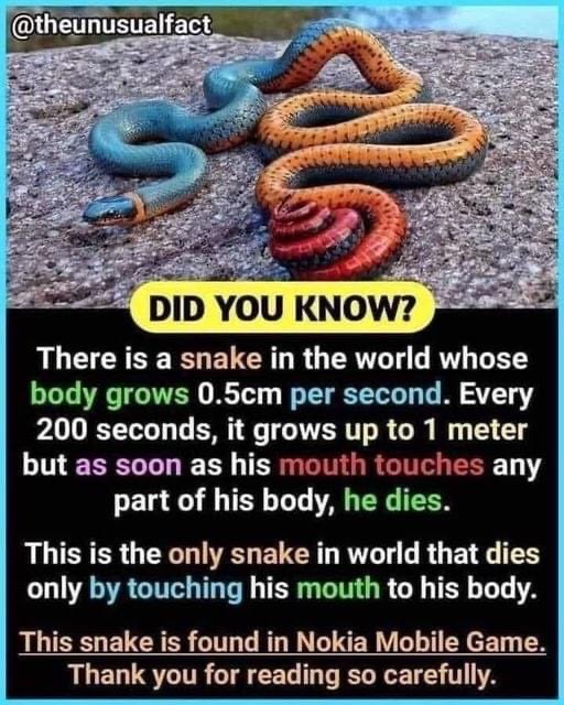Only snake in the world that dies touching his mouth to his body