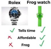 Rolex vs Frog watch
