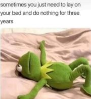 Sometimes you just need to lay on your bed and do nothing for three years