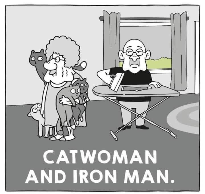 Cat woman and iron man