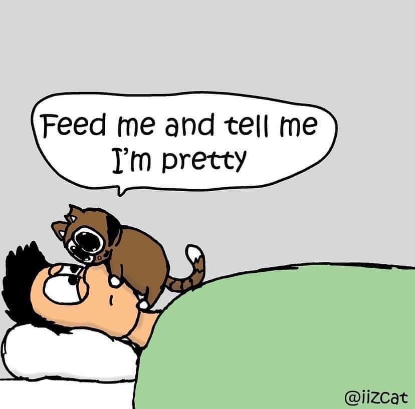 Feed me and tell me i’m pretty