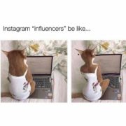 Instagram influencers be like