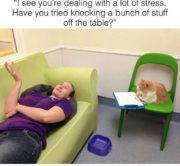 Psychotherapy cat