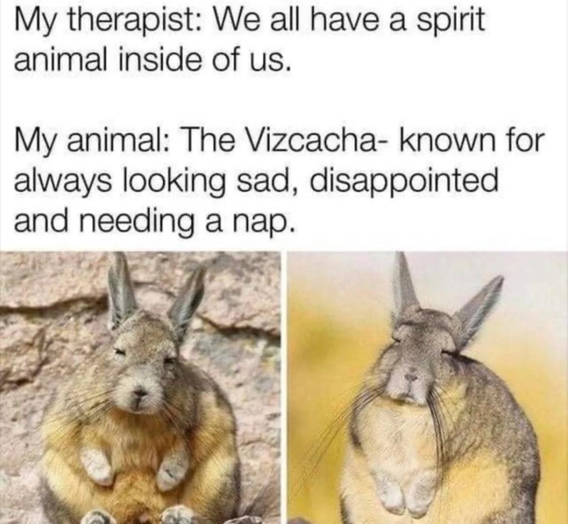 We all have a spirit animal