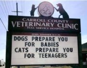 Dogs prepare you for babies, cats for teenagers