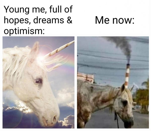 Full of hopes, dreams and optimism
