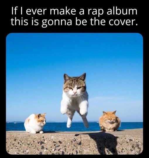 If I ever make a rap album