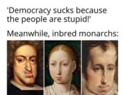 Democracy sucks because the people are stupid