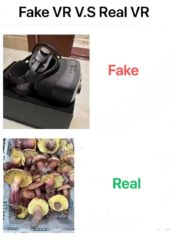 Fake VR vs Real VR