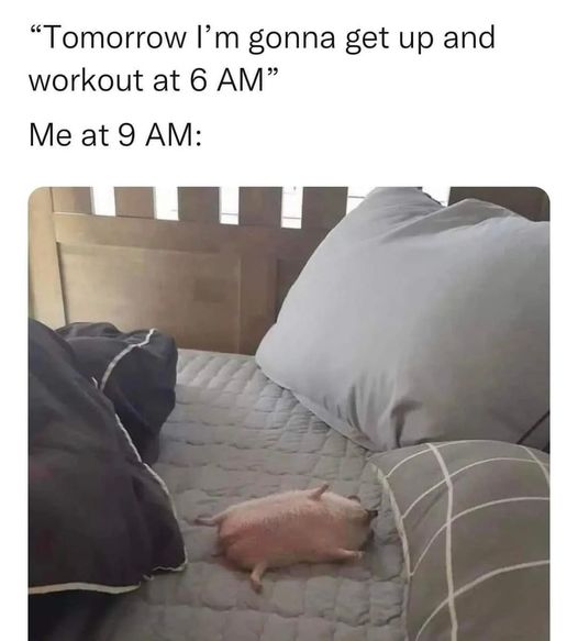 Tomorrow I’m gonna get up and workout