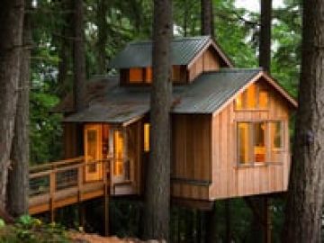 Adults Who Live In Treehouses